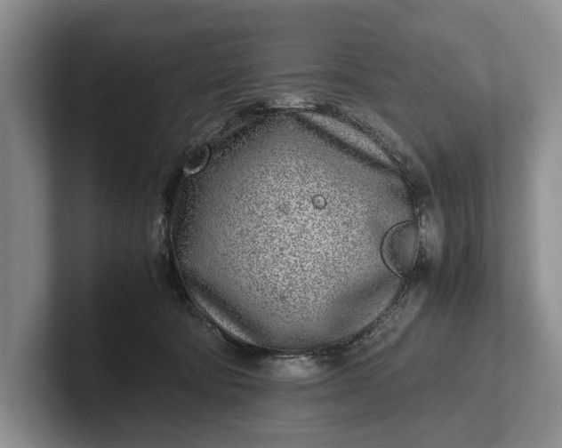 X0000102270322200808081446