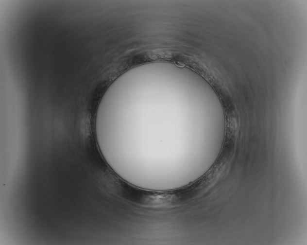 X0000102270323200808081446