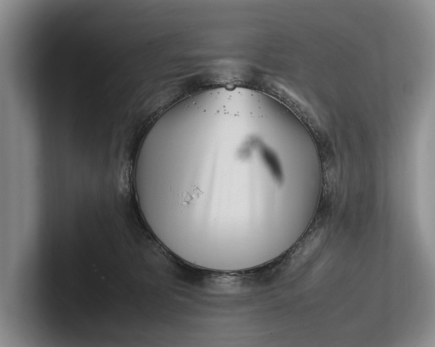 X0000102270325200808081446