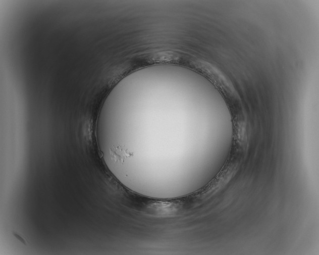 X0000102270326200808081446