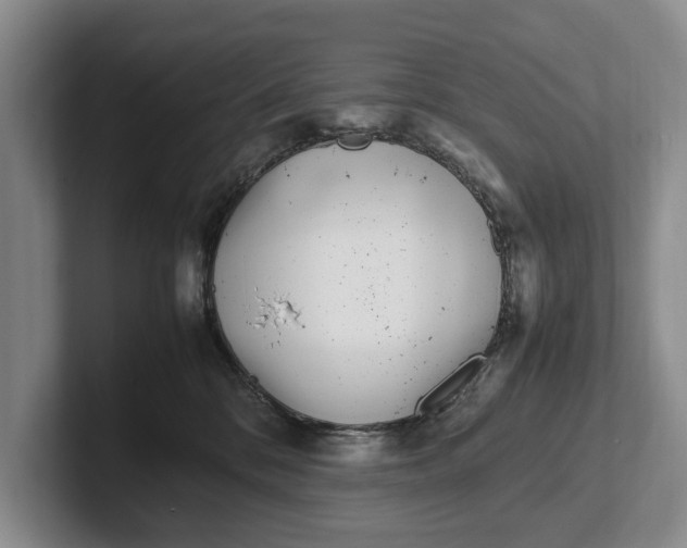 X0000102270328200808081446