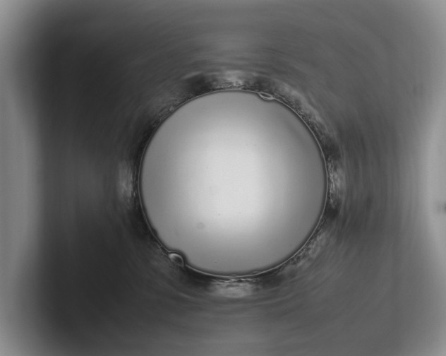 X0000102270331200808081446