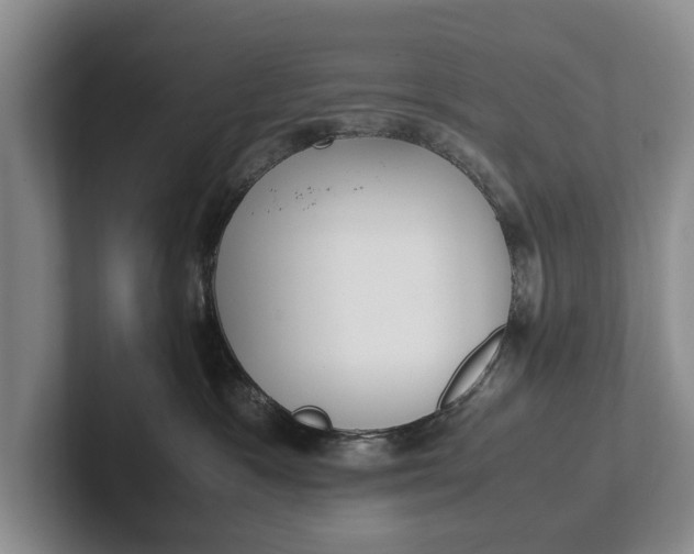 X0000102270333200808081446