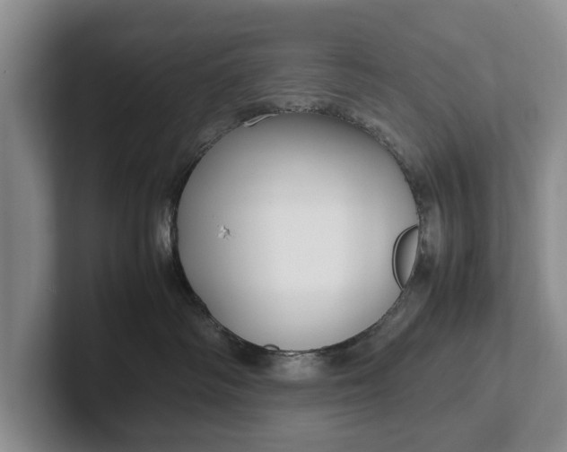 X0000102270334200808081446