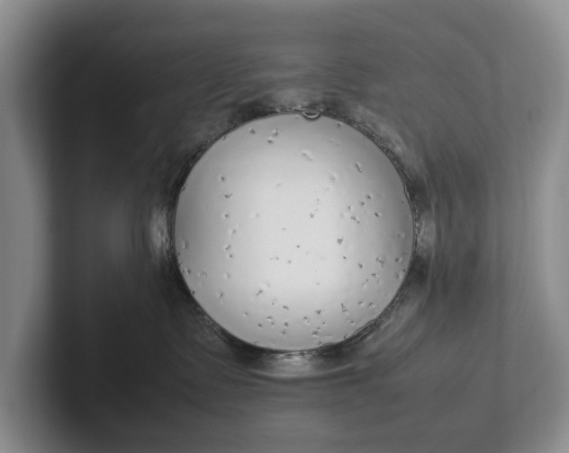 X0000102270335200808081446