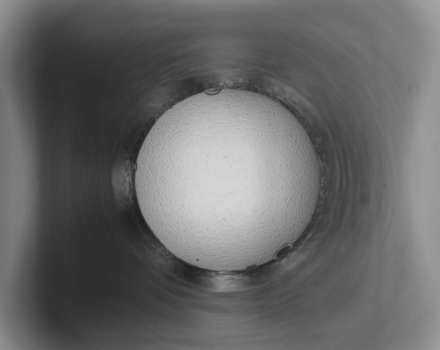 X0000102270336200808081446