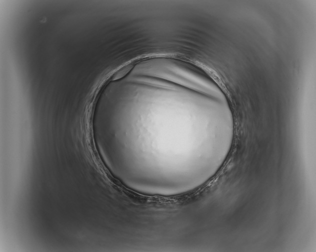 X0000102270337200808081445