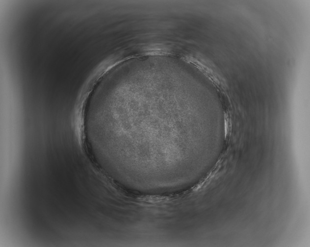 X0000102270339200808081445