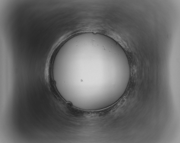 X0000102270340200808081445