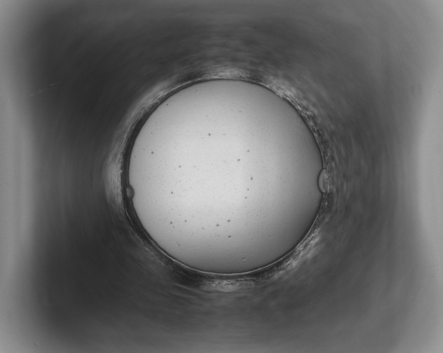 X0000102270341200808081445