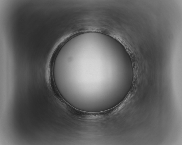 X0000102270342200808081445