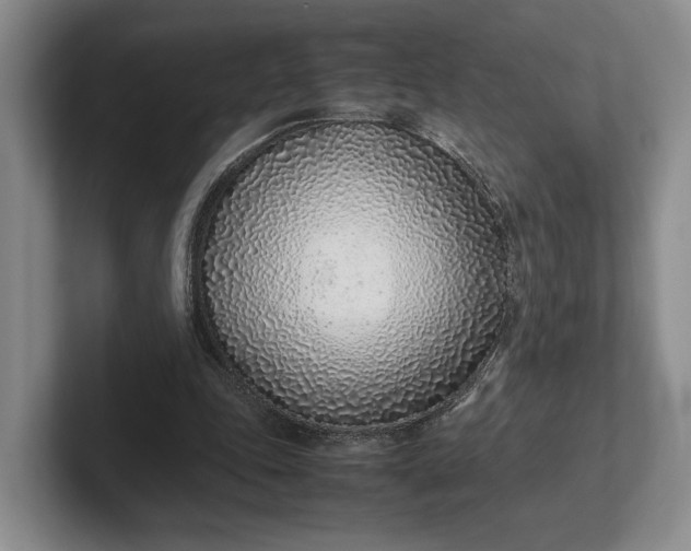 X0000102270343200808081445