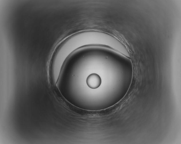 X0000102270344200808081445