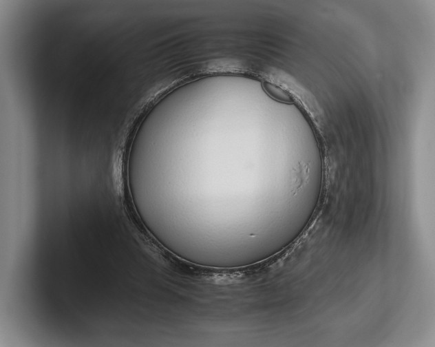 X0000102270345200808081445