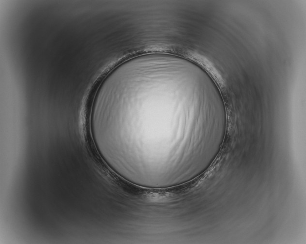 X0000102270346200808081445