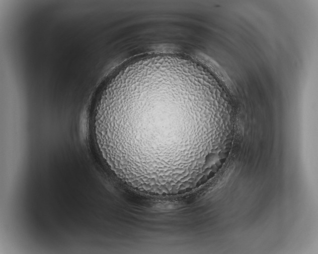 X0000102270347200808081445