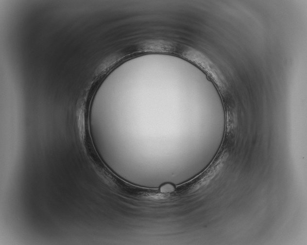 X0000102270349200808081445