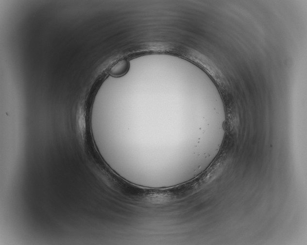 X0000102270350200808081445