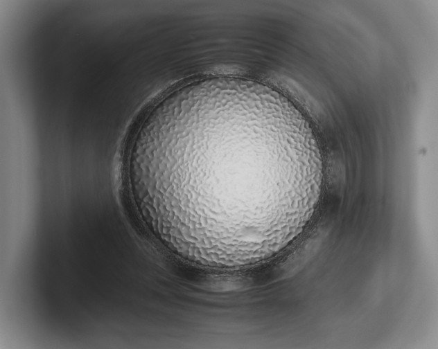 X0000102270351200808081445