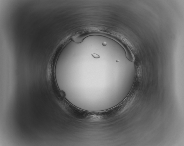 X0000102270352200808081445