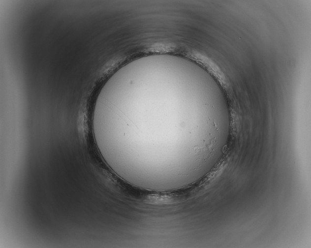 X0000102270354200808081445