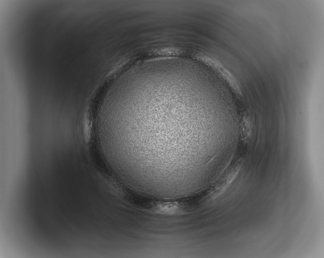 X0000102270355200808081445