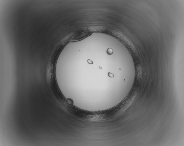 X0000102270356200808081445