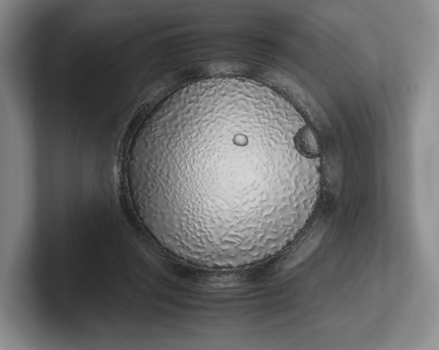 X0000102270357200808081445