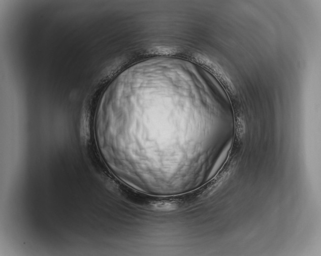 X0000102270358200808081445