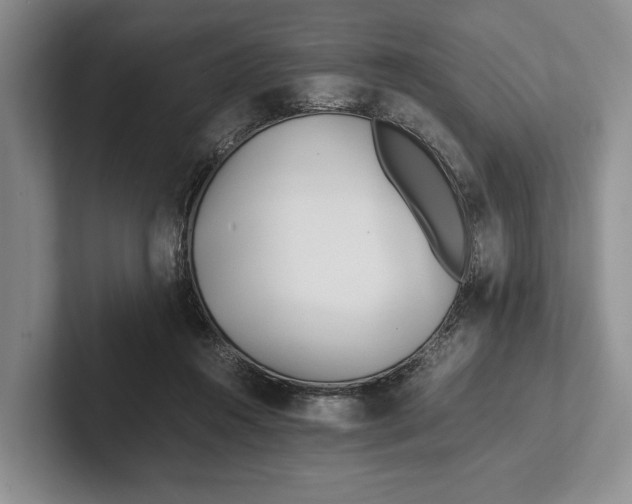 X0000102270360200808081446