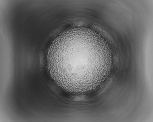 X0000102270361200808081446