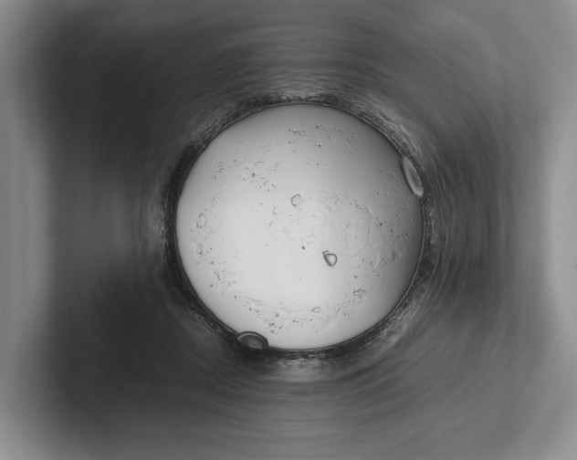 X0000102270362200808081446