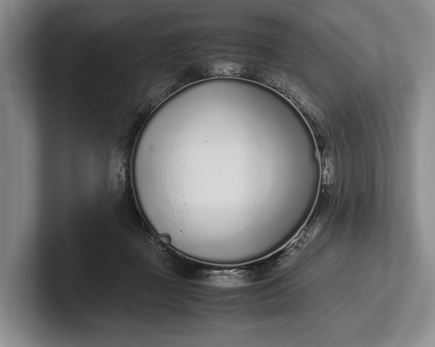 X0000102270363200808081446