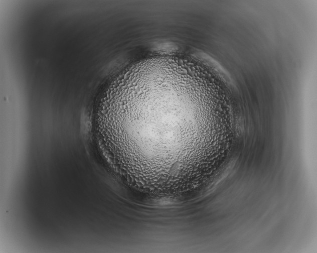 X0000102270365200808081446