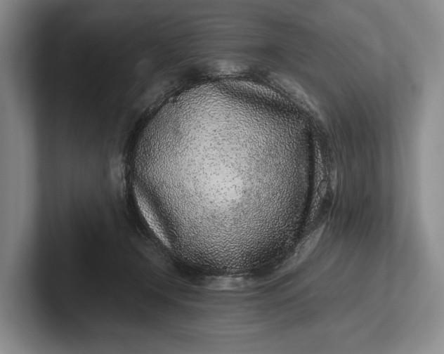 X0000102270366200808081446