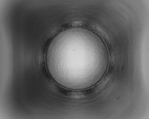 X0000102270367200808081446