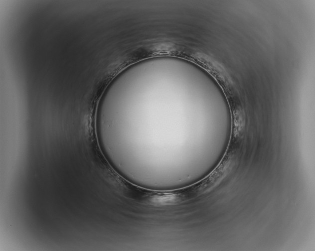 X0000102270369200808081446