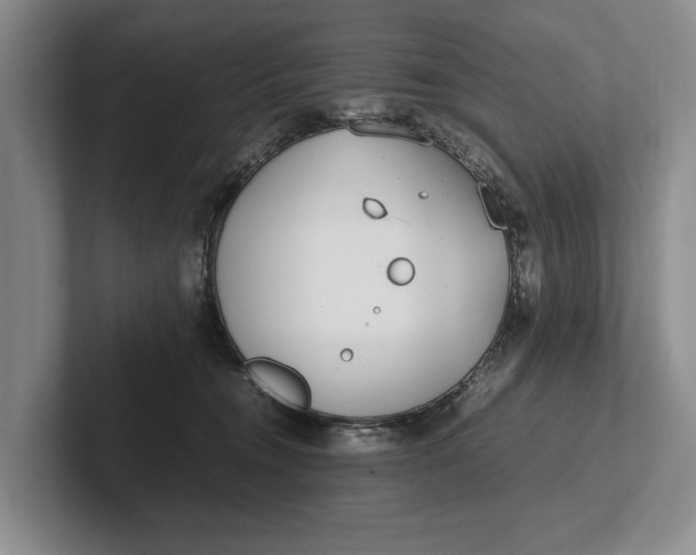 X0000102270372200808081446