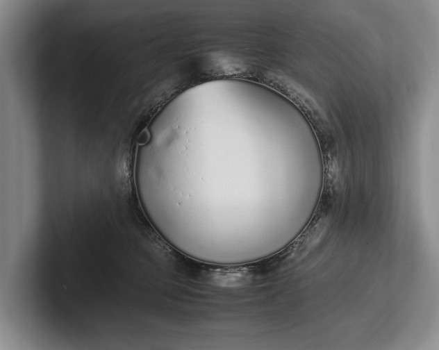 X0000102270373200808081446