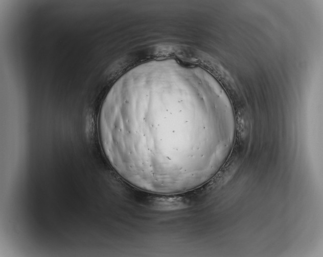 X0000102270375200808081446