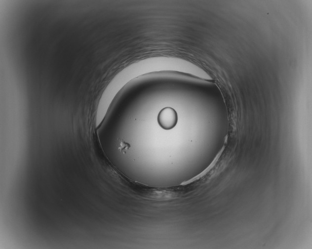 X0000102270376200808081446