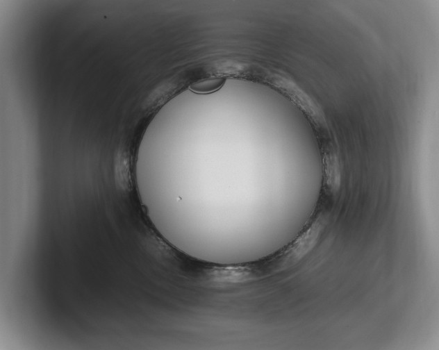 X0000102270378200808081446