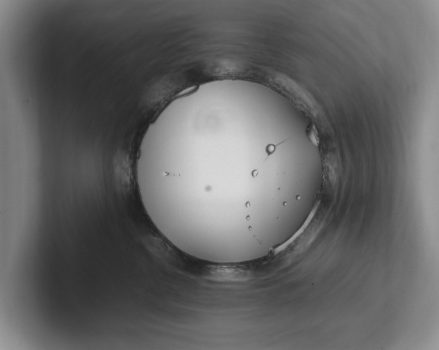 X0000102270380200808081446