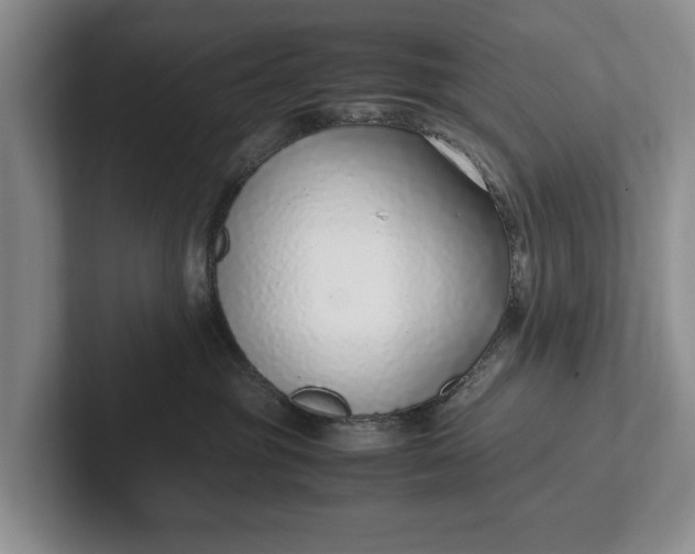 X0000102270381200808081446