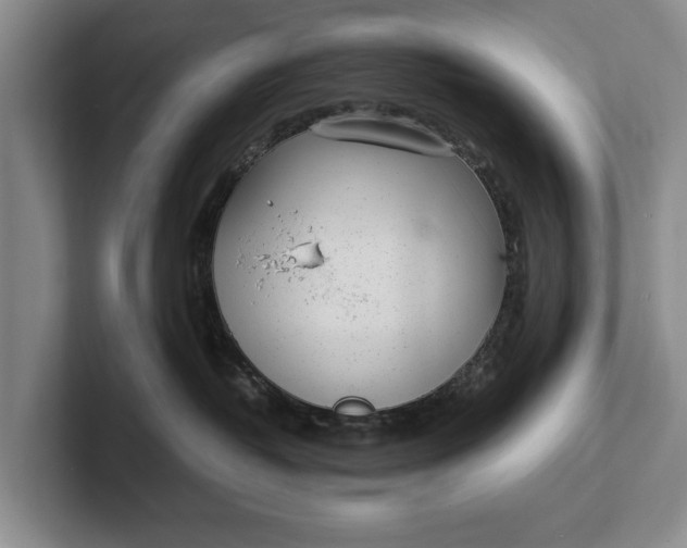 X0000102270382200808081446