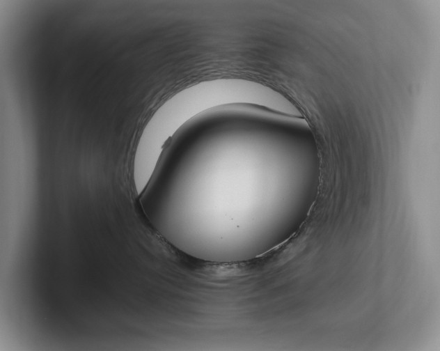 X0000102270384200808081446