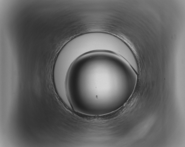 X0000102270385200808081445