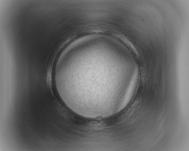 X0000102270386200808081445