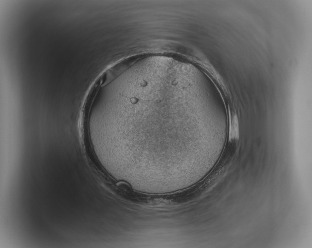 X0000102270387200808081445