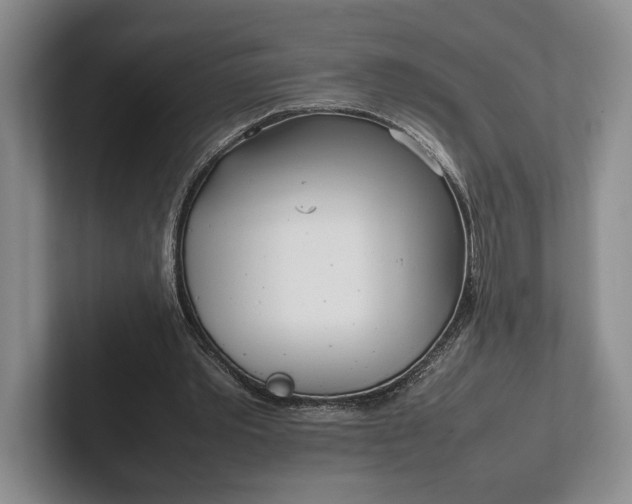 X0000102270389200808081445